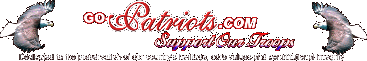 Go-Patriots Banner
